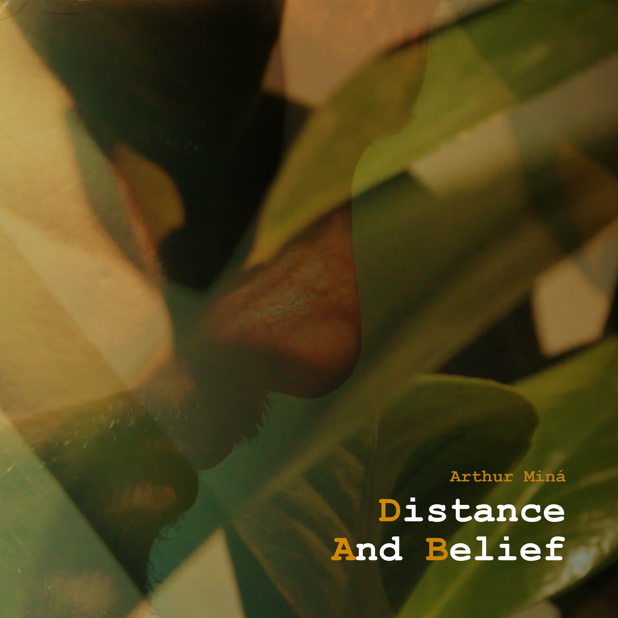 Capa da Edicao Distance And Belief